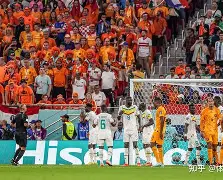 荷兰国家队战胜荷兰，晋级世界杯强的简单介绍